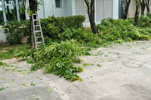 Leaf Removal Services in Milton, NY